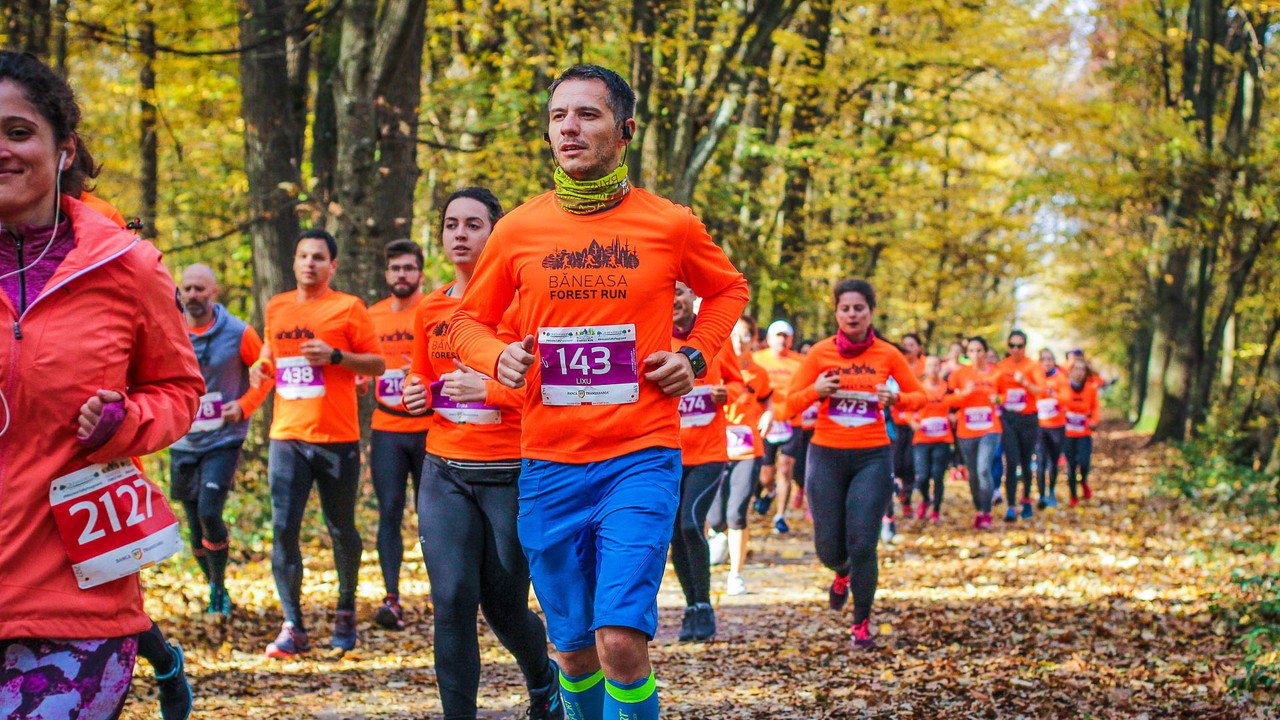 Baneasa Forest Run