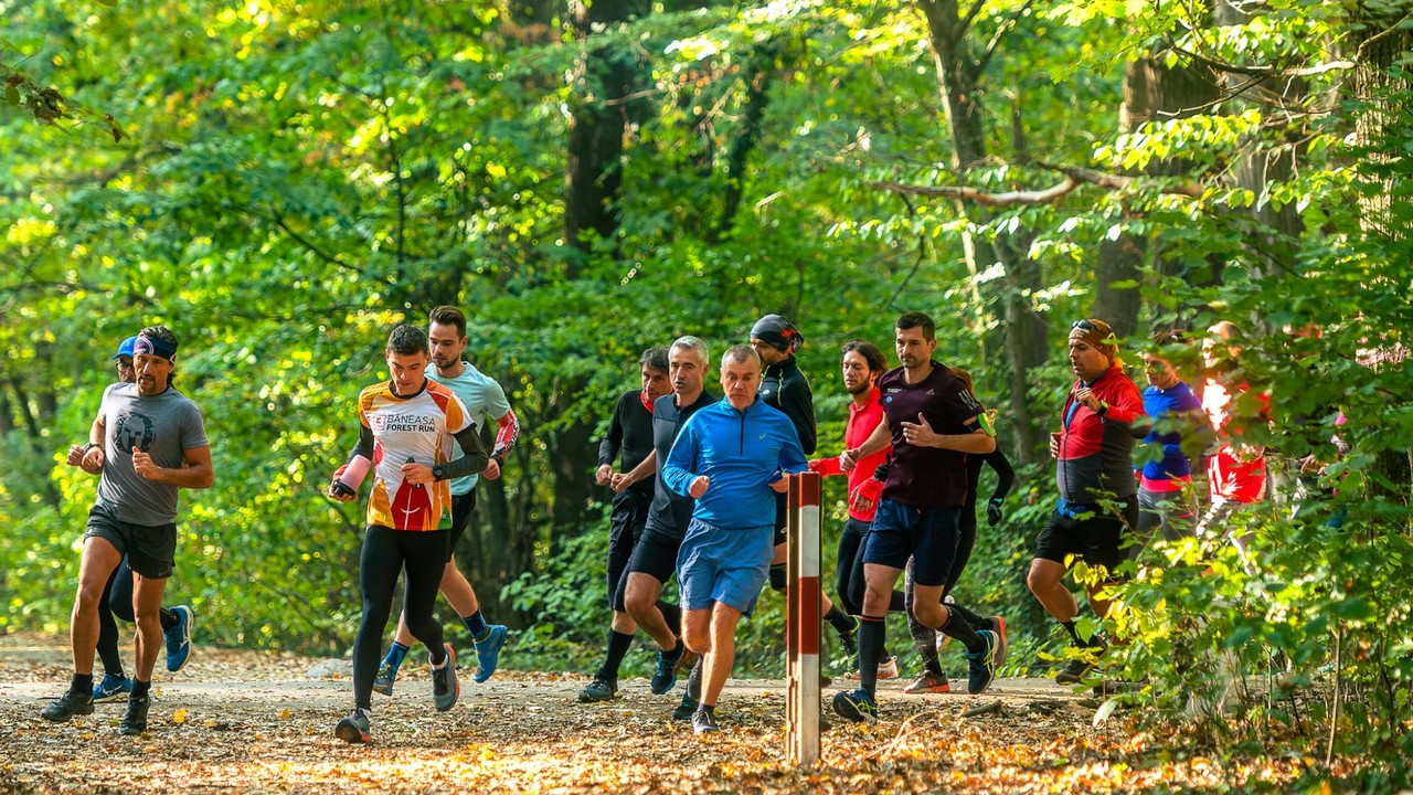 Baneasa Forest Run Spring
