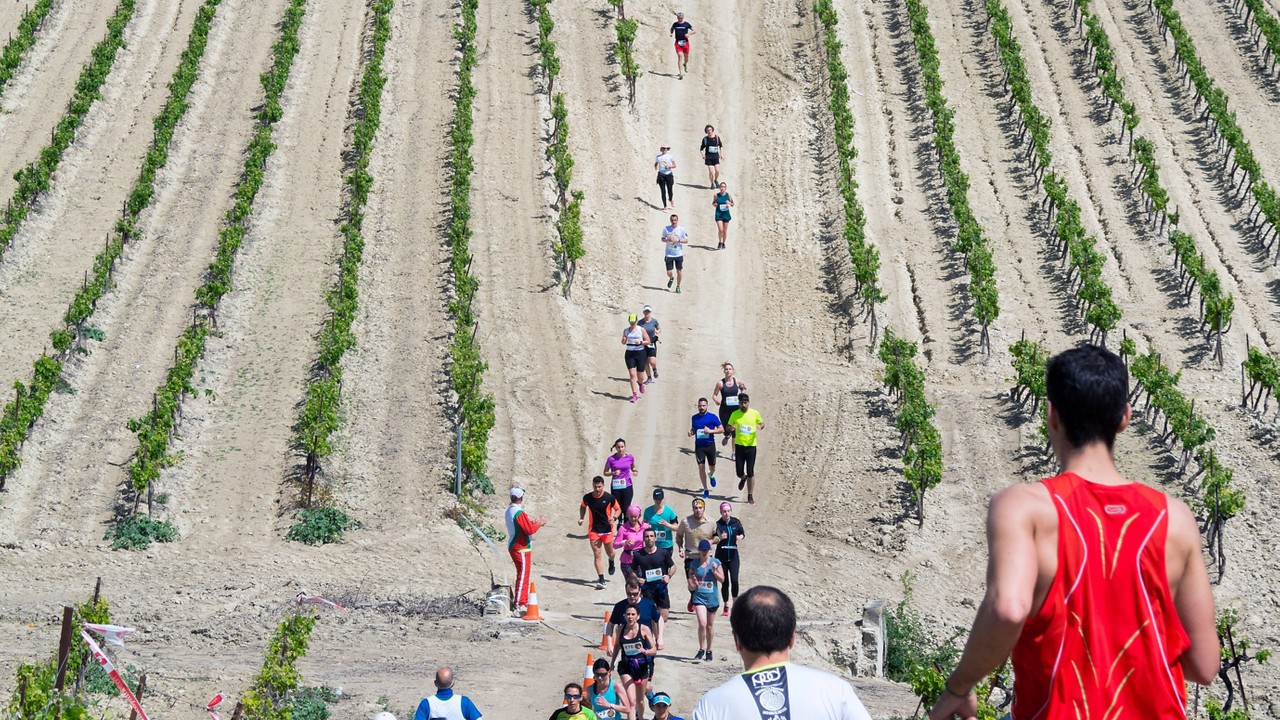 Sherry Marathon